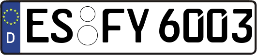 ES-FY6003