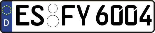 ES-FY6004