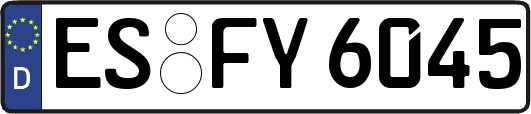 ES-FY6045
