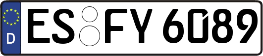 ES-FY6089