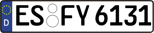ES-FY6131