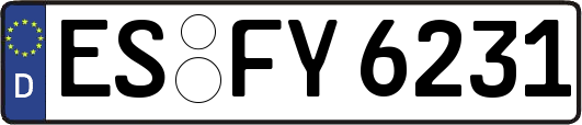 ES-FY6231