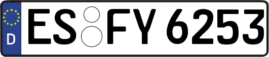 ES-FY6253