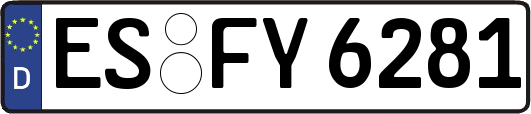 ES-FY6281