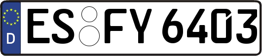 ES-FY6403