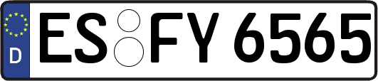 ES-FY6565