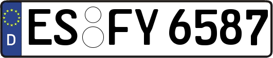 ES-FY6587