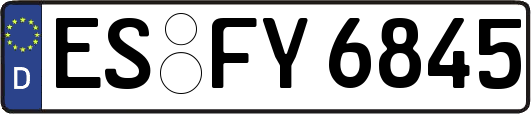 ES-FY6845