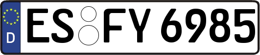 ES-FY6985