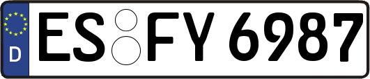 ES-FY6987