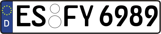 ES-FY6989