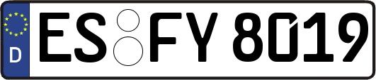 ES-FY8019