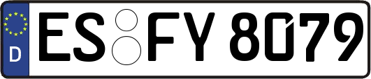 ES-FY8079