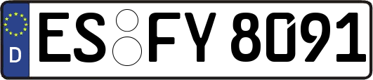 ES-FY8091