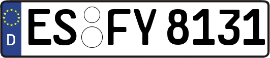 ES-FY8131