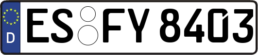 ES-FY8403
