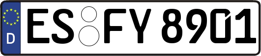 ES-FY8901