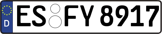 ES-FY8917