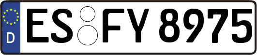 ES-FY8975