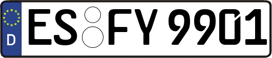 ES-FY9901
