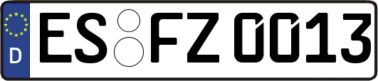 ES-FZ0013