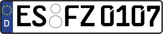 ES-FZ0107
