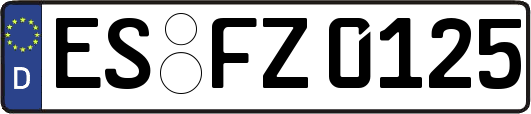 ES-FZ0125