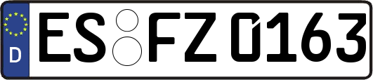 ES-FZ0163
