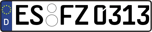 ES-FZ0313