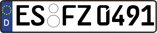 ES-FZ0491