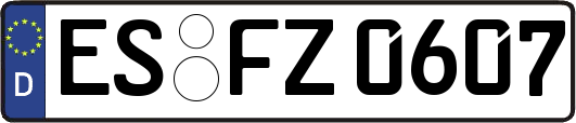 ES-FZ0607