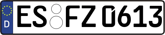 ES-FZ0613