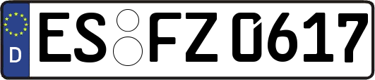 ES-FZ0617