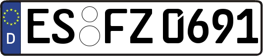 ES-FZ0691