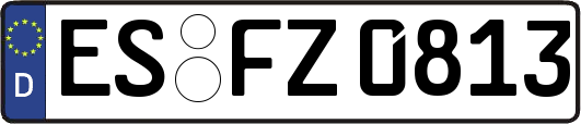 ES-FZ0813