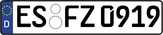 ES-FZ0919