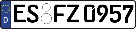 ES-FZ0957