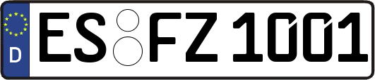 ES-FZ1001