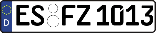 ES-FZ1013