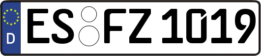 ES-FZ1019