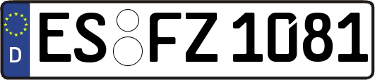 ES-FZ1081