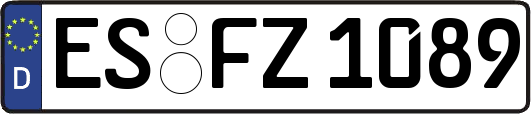 ES-FZ1089