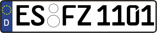 ES-FZ1101