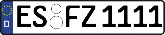 ES-FZ1111