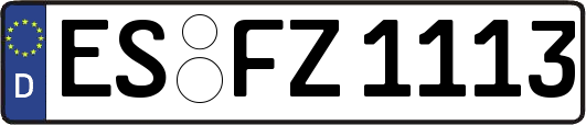 ES-FZ1113