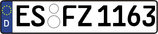 ES-FZ1163