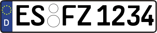 ES-FZ1234