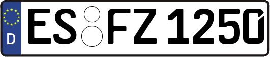 ES-FZ1250