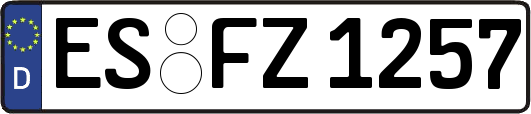 ES-FZ1257