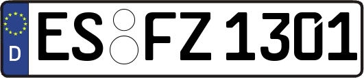 ES-FZ1301